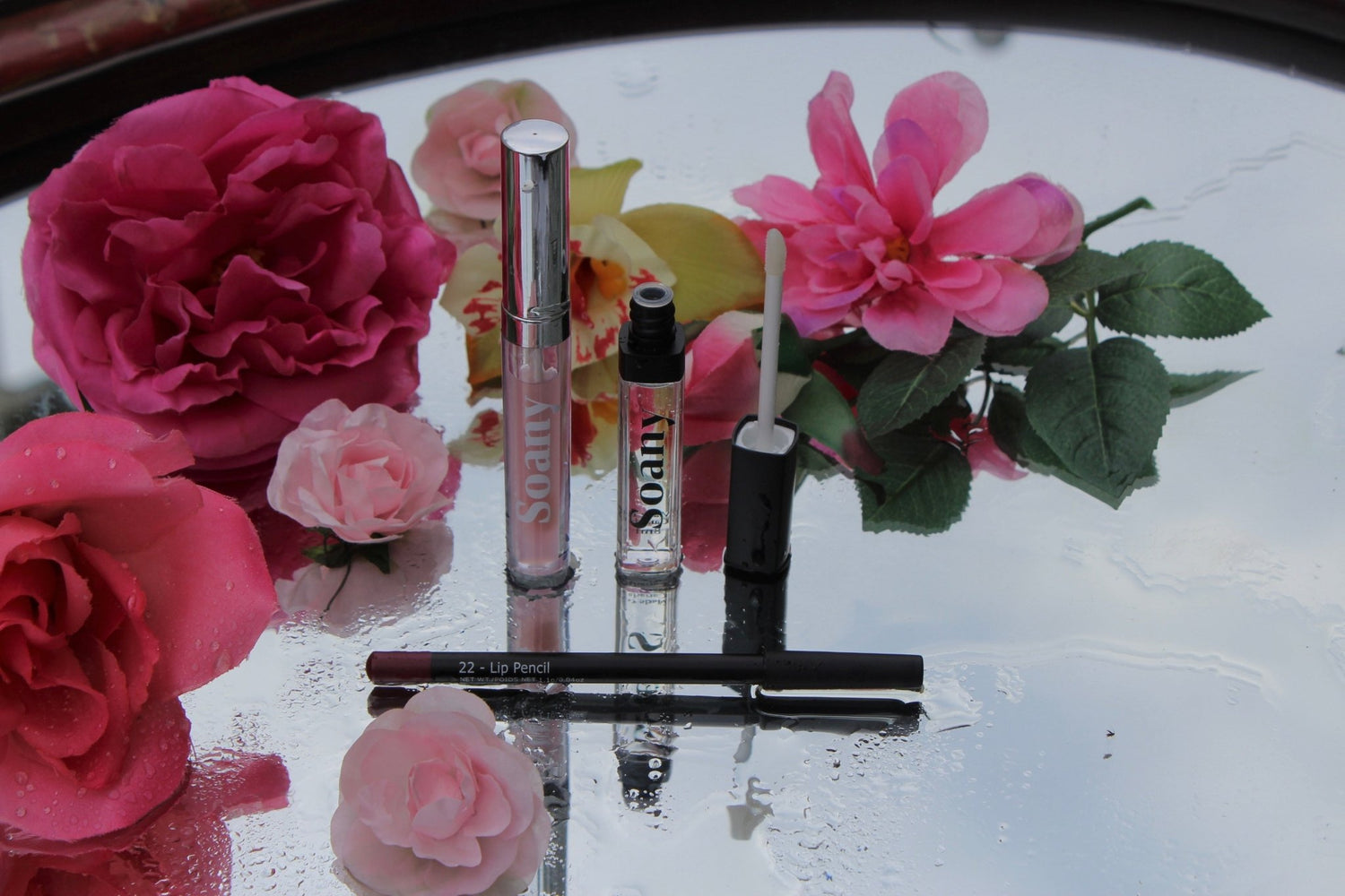 Lip Products - Soany Beauty